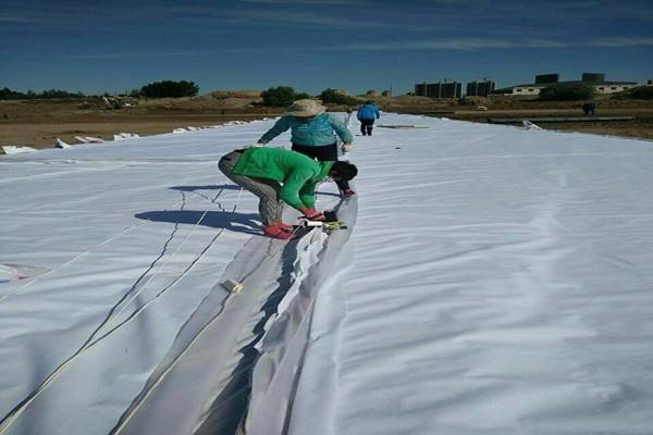 為什麽說HDPE91香蕉视频下载地址膜比聚氯乙烯瀝青膜更值得信賴