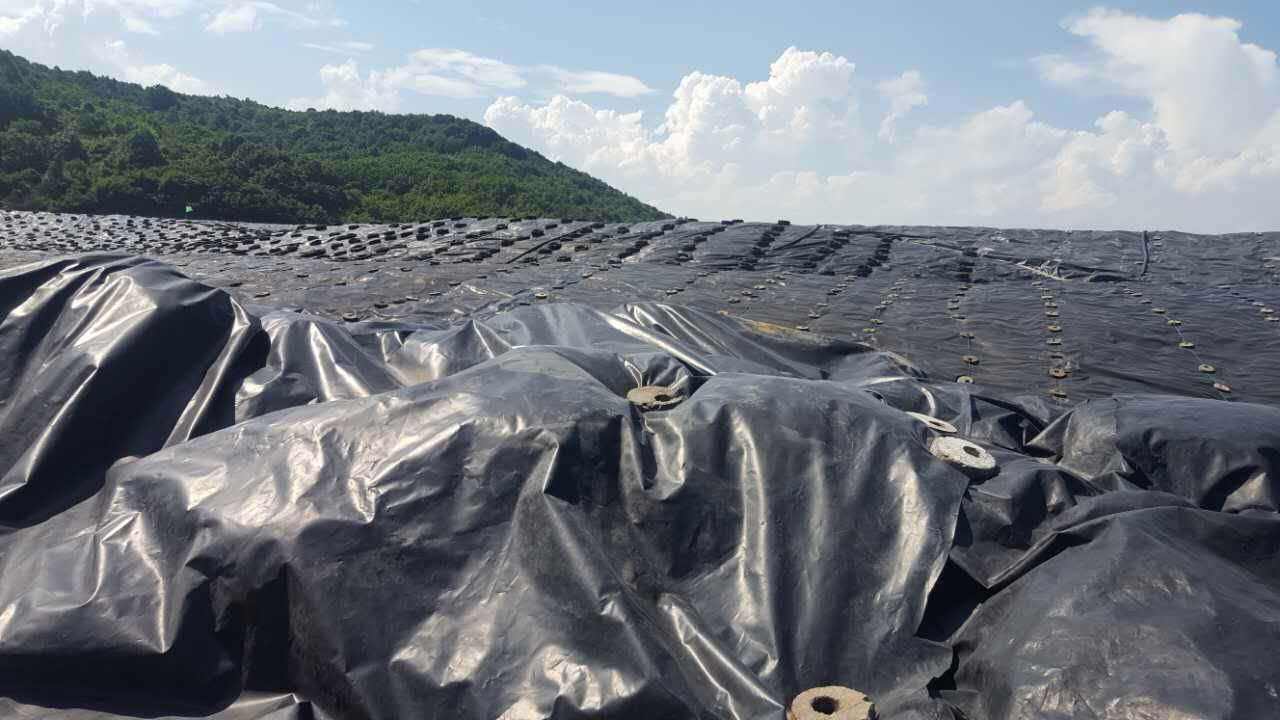 填埋法更能反映HDPE91香蕉视频下载地址膜耐久性指標