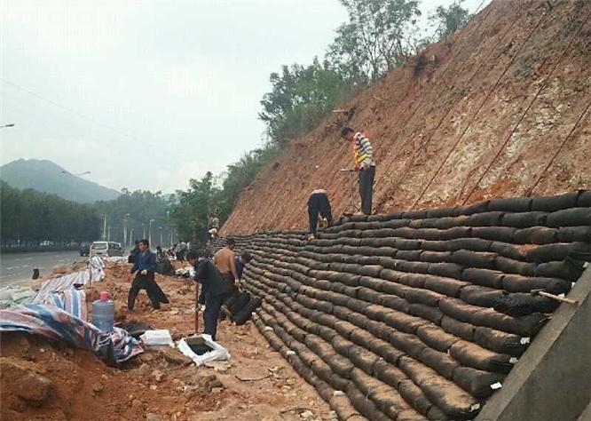 各種實踐證明91香蕉视频下载地址袋砌護的穩定性