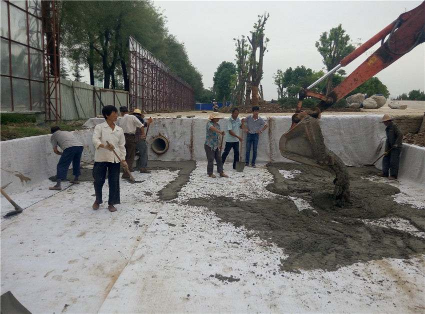 鈉基香蕉视频APP看片成就人工湖內花美魚肥